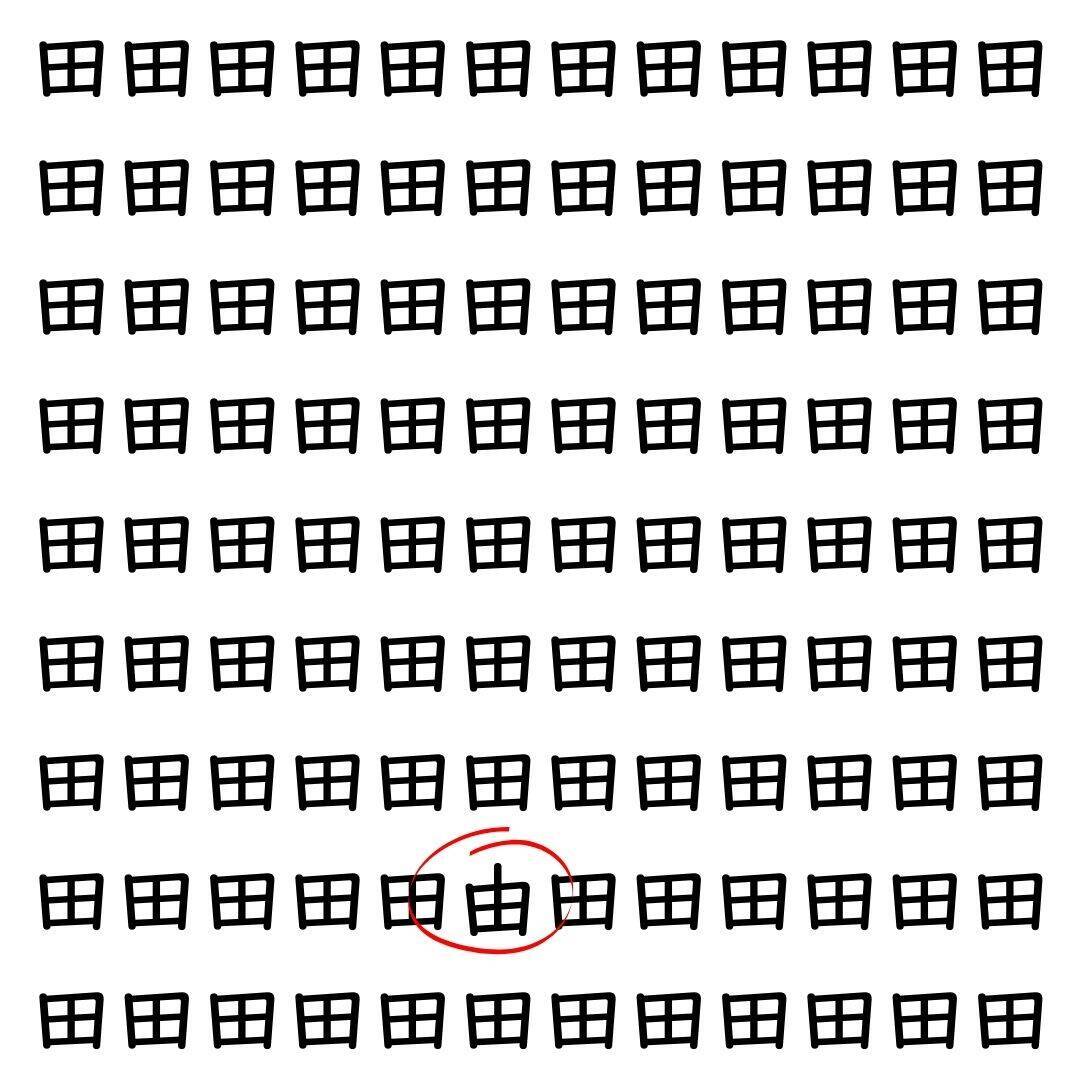 【漢字探し】ずらっと並んだ「田」の中にまぎれた別の漢字一文字は？