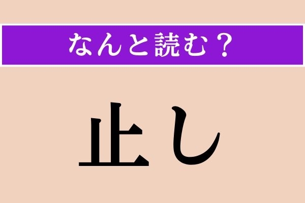 【難読漢字】「止し」正しい読み方は？「読み止し」などと使われます