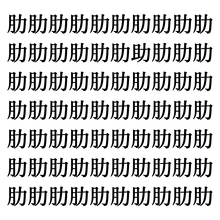 【漢字探しクイズ Vol.142】ずらっと並んだ「肋」の中にまぎれた別の漢字一文字は？