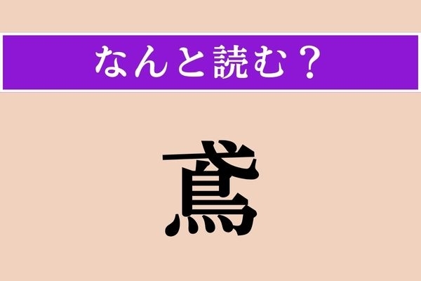 【難読漢字】「鳶」正しい読み方は？ 書けないけど読める？