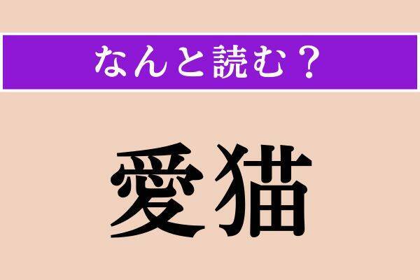 【難読漢字】「除斥」「愛猫」「免れる」読める？