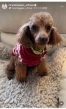 岩崎宏美、松下幸之助氏との16歳での出会いとビクター時代への感謝を投稿