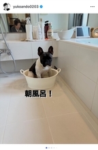 安藤優子、朝散歩後の愛犬が朝風呂でリラックス「なかなか出たがらない（笑）」