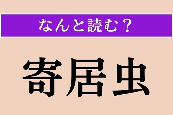 【難読漢字】「寄居虫」正しい読み方は？ 字の通りの生態の生き物です
