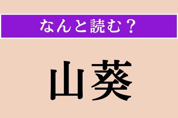 【難読漢字】「山葵」正しい読み方は？ 育てるには綺麗な水が必要です