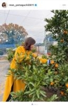 タレント・山口もえ、畑での野菜収穫体験で心境に変化「悩み事がちっぽけに思えた」