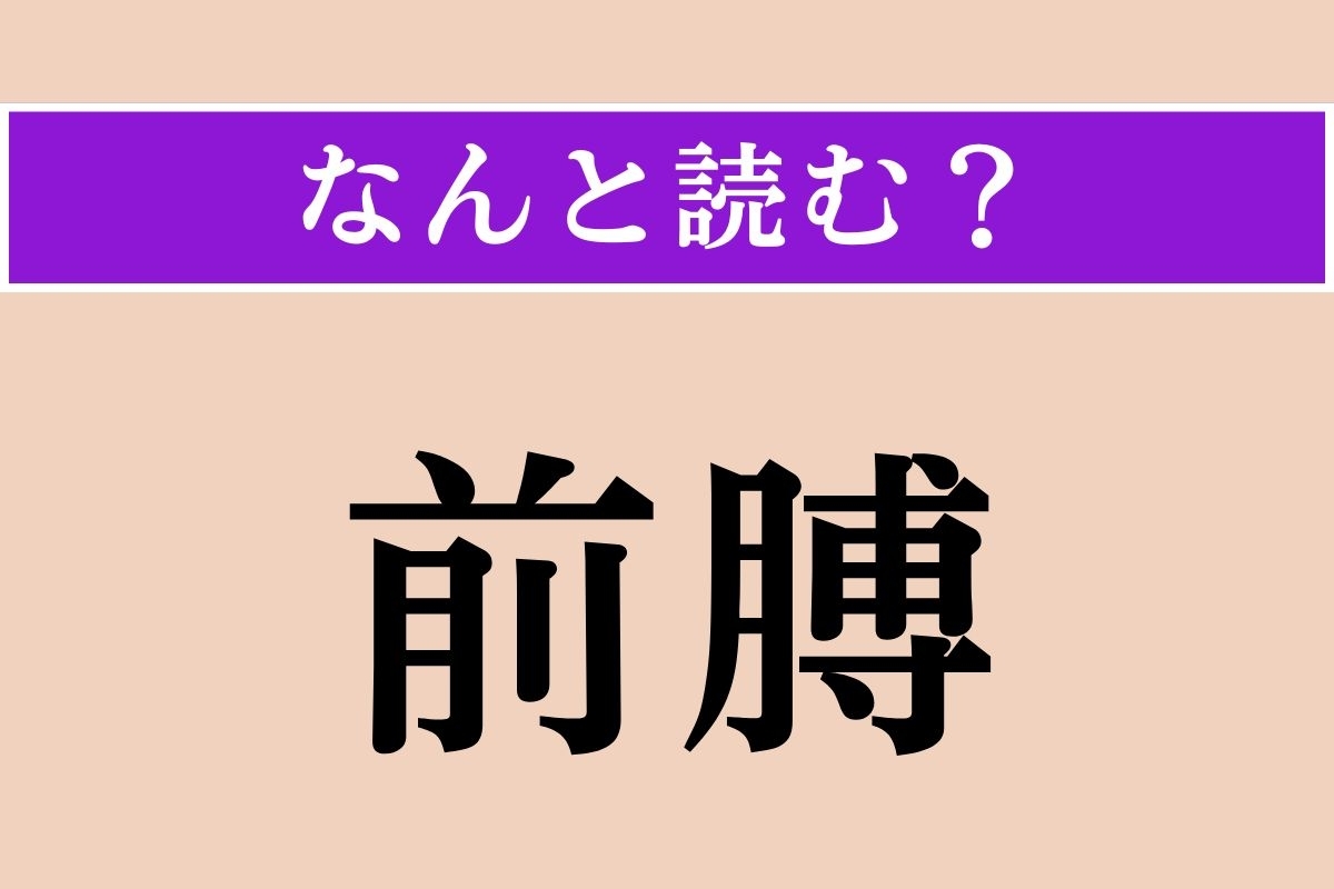 【難読漢字】「前膊」正しい読み方は？「前腕」のことです