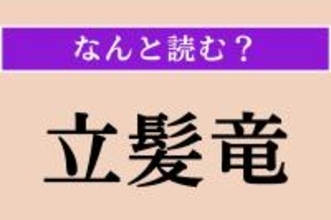 【難読漢字】「立髪竜」正しい読み方は？「鬣蜥蜴」とも書きます