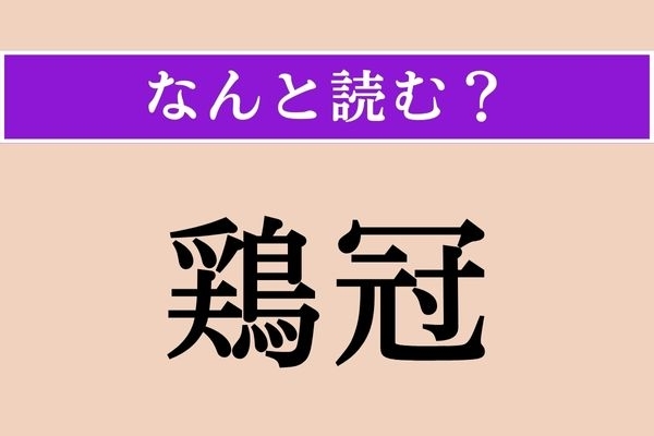【難読漢字】「鶏冠」正しい読み方は？ 漢字の通りのものを想像してみて！