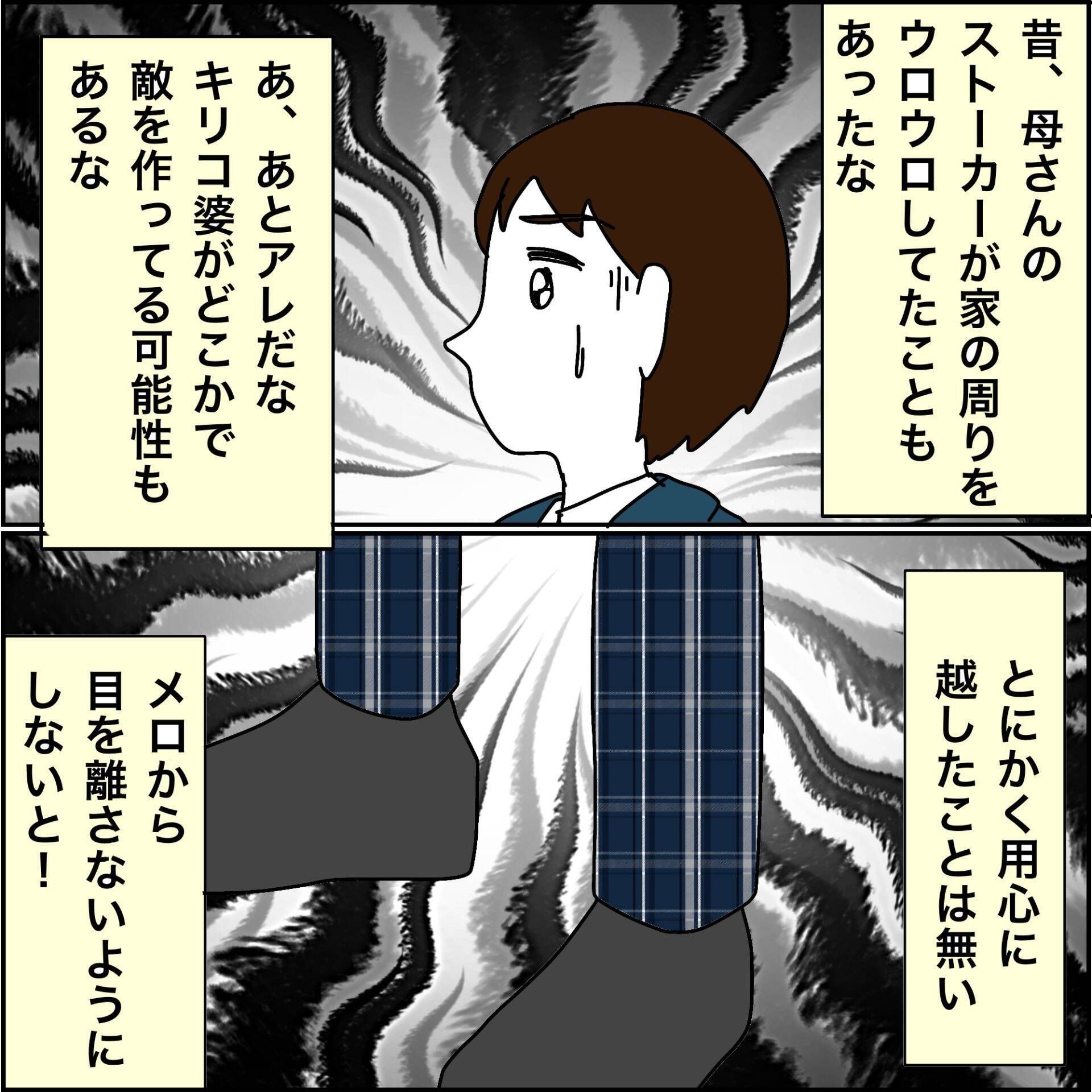 【漫画】尾行されている気がする！ 標的は誰？【義母から800万円奪った兄嫁の末路 Vol.102】