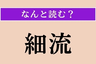 【難読漢字】「細流」正しい読み方は？「さいりゅう」以外の読み方わかりますか？