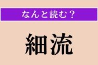 【難読漢字】「細流」正しい読み方は？「さいりゅう」以外の読み方わかりますか？