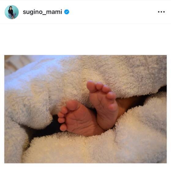 日テレ・杉野真実アナウンサーが第一子を出産「守るべきものができた」