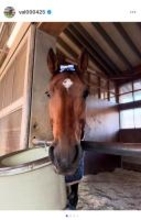 今村聖奈騎手、22歳の誕生日を迎え有馬記念ウィークに意気込み