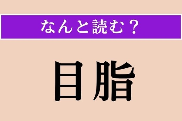 【難読漢字】「目脂」正しい読み方は？ 医学用語では「眼脂（がんし）」と言うそうです
