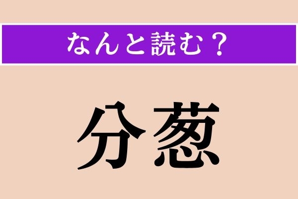【難読漢字】「分葱」正しい読み方は？ 食べられます