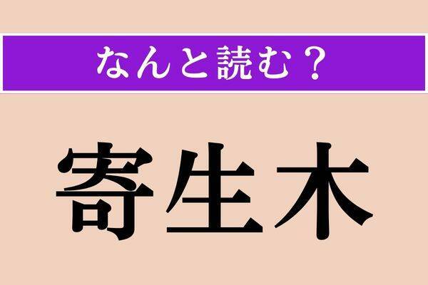 【難読漢字】「痛罵」正しい読み方は？ 激しく厳しくののしることを言います
