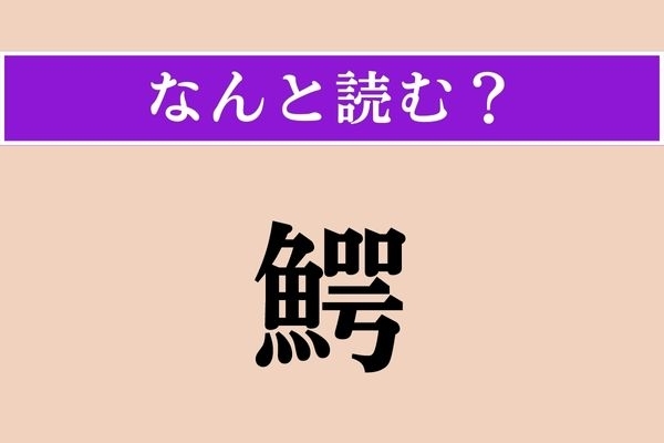【難読漢字】「鰐」正しい読み方は？ 魚…なの!?