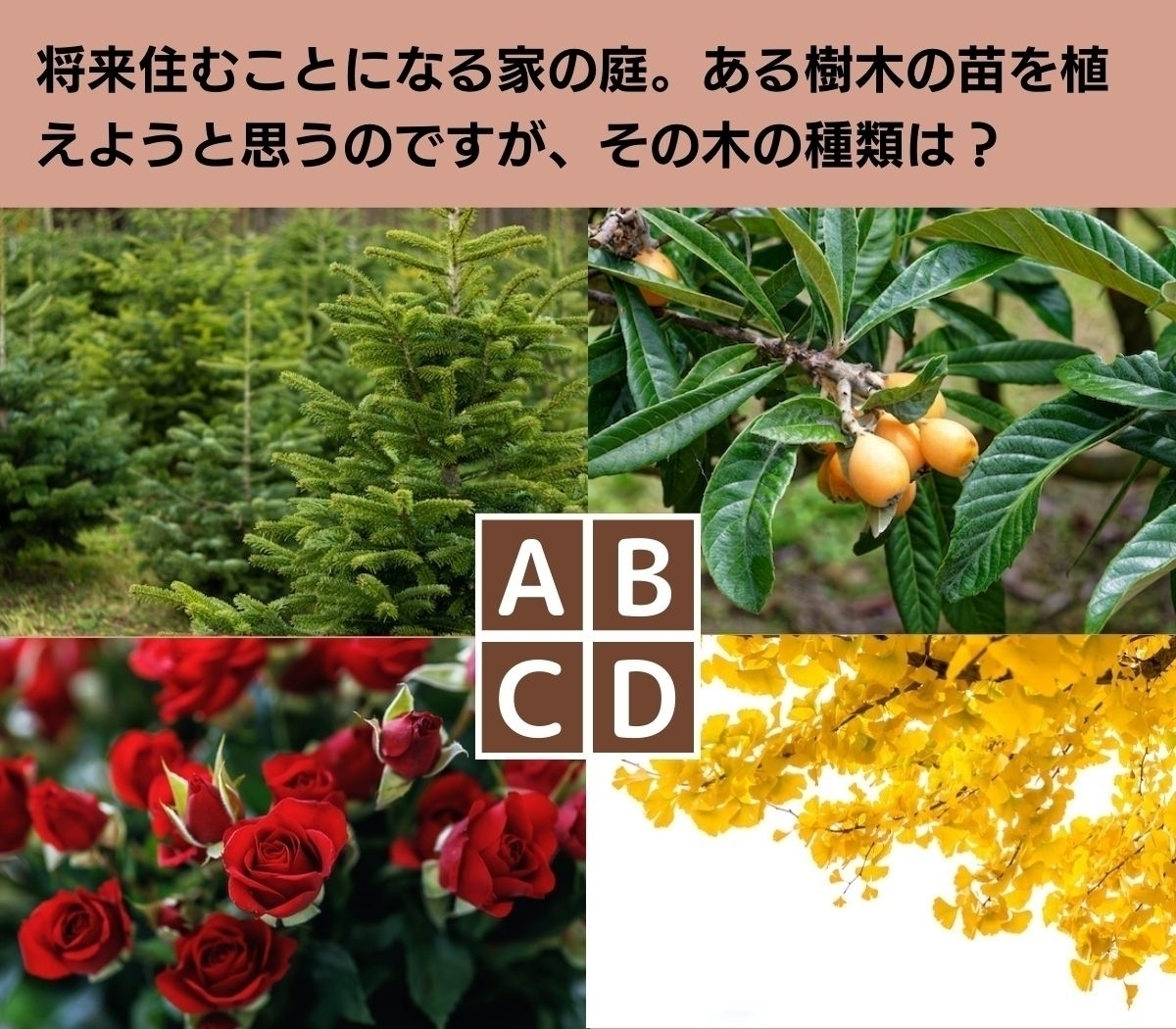 【心理テスト】理想と現実は違うけど…。あなたが築きたい家庭は？