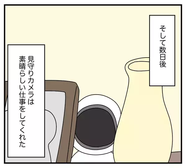 「【漫画】家の見守りカメラにまさかの人物が映っていた…【夫と義家族に無視される私 Vol.47】」の画像