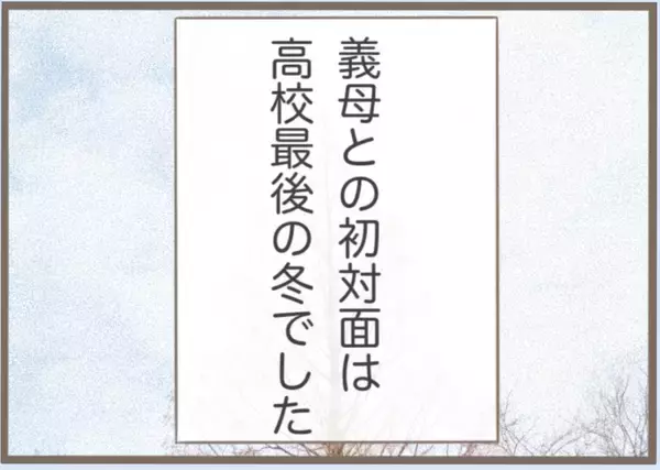 「「地味」「好みじゃない」初対面で放たれた義母の毒舌…これが悪夢の始まりだった【漫画】」の画像