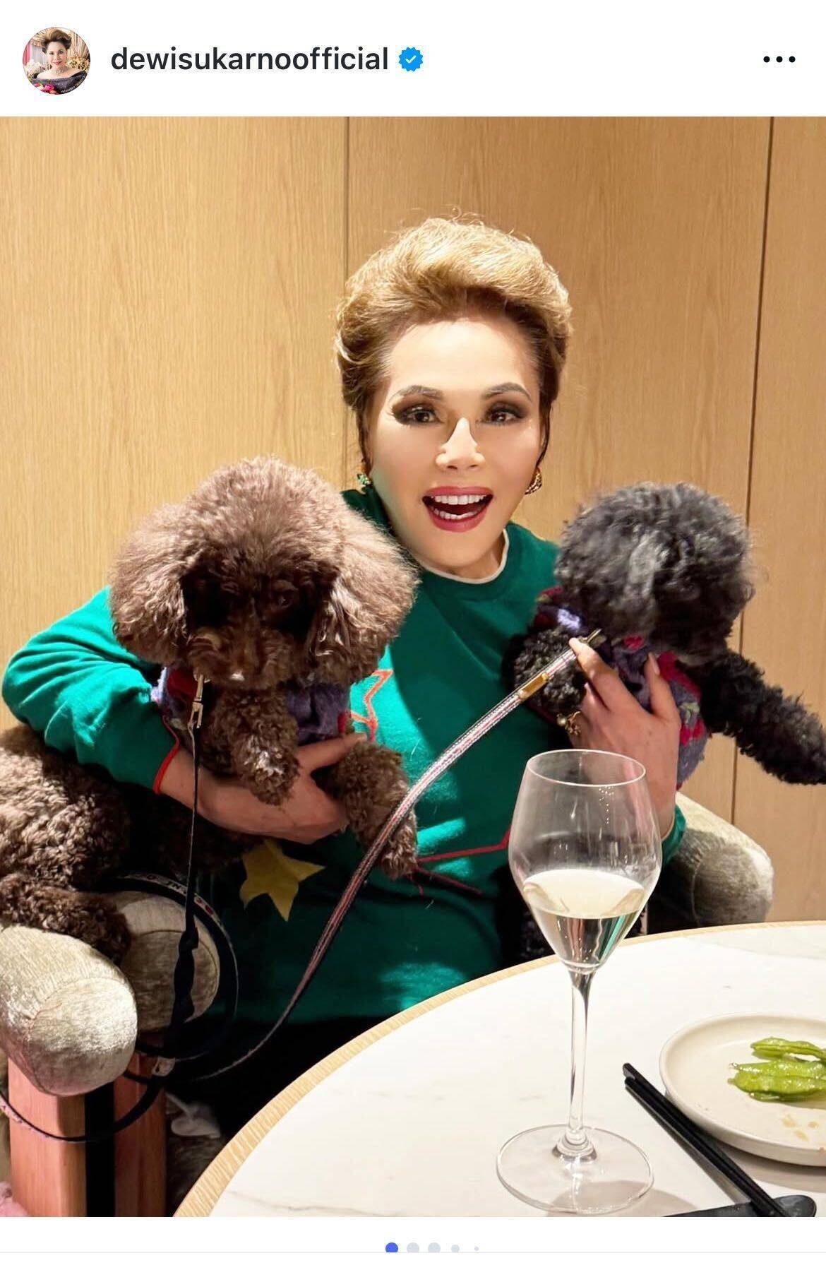 デヴィ夫人、渋谷のドッグカフェで愛犬たちと優雅なひととき「人と動物が共生できるってワンダフル！」