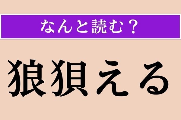 【難読漢字】「狼狽える」正しい読み方は？ 「狼狽」の意味を考えてみて！
