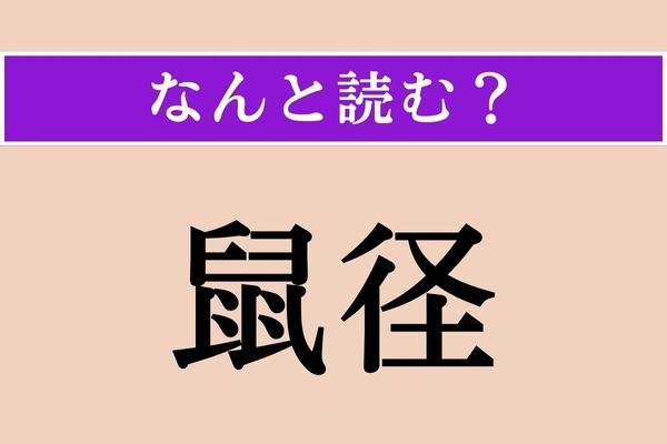 【難読漢字】「鼠径」正しい読み方は？「〜部」を付けるとわかるかも！