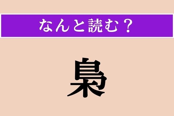 【難読漢字】「梟」正しい読み方は？ 鳥の種類です