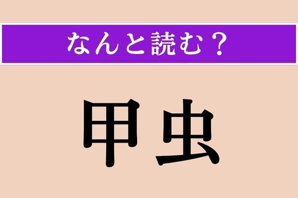 【難読漢字】「甲虫」正しい読み方は？ どの虫だろう…？