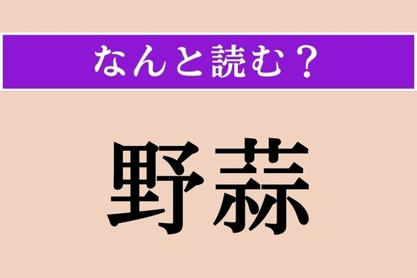 【難読漢字】「野蒜」正しい読み方は？ ニラに似た野草です