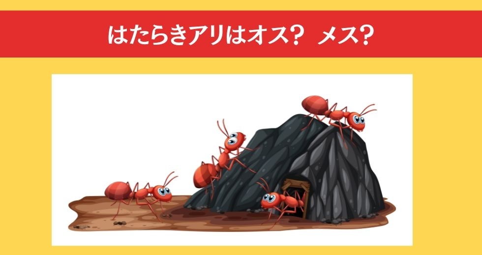 大人ならわかる？ 小学校の「理科」問題＜Vol.37＞
