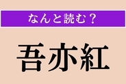 【難読漢字】「吾亦紅」正しい読み方は？ 赤褐色や暗紅紫色の花を咲かせるバラ科の多年草です