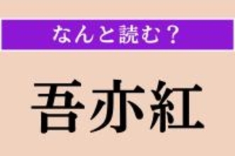 【難読漢字】「吾亦紅」正しい読み方は？ 赤褐色や暗紅紫色の花を咲かせるバラ科の多年草です