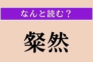【難読漢字】「粲然」正しい読み方は？ きらきらと光り輝く様子を言います