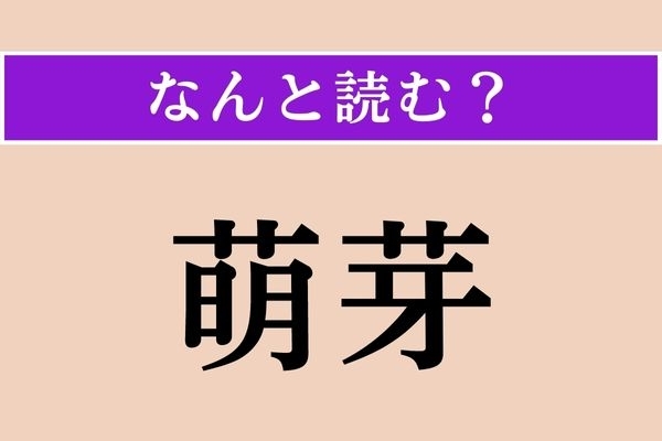 【難読漢字】「萌芽」正しい読み方は？「芽」は「め」とは読まないでください