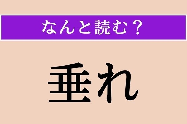【難読漢字】「垂れ」正しい読み方は？「枝垂れ」と同じ読み方です