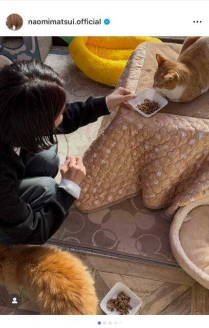 松居直美、個人運営の保護猫シェルターでトイレ掃除などお手伝い