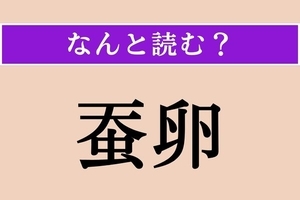 【難読漢字】「蚕卵」正しい読み方は？「蚕（かいこ）」の卵のことです