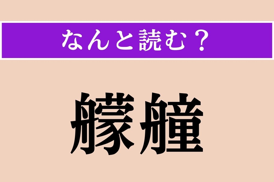 【難読漢字】「艨艟」正しい読み方は？ 軍艦のことです