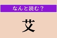 【難読漢字】「艾」正しい読み方は？ よもぎの葉の裏にある白い綿毛を精製したものでお灸の材料になります