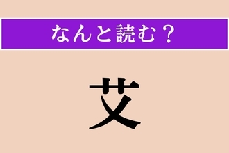 【難読漢字】「艾」正しい読み方は？ よもぎの葉の裏にある白い綿毛を精製したものでお灸の材料になります