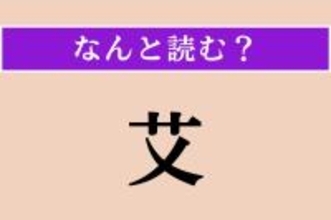 【難読漢字】「艾」正しい読み方は？ よもぎの葉の裏にある白い綿毛を精製したものでお灸の材料になります