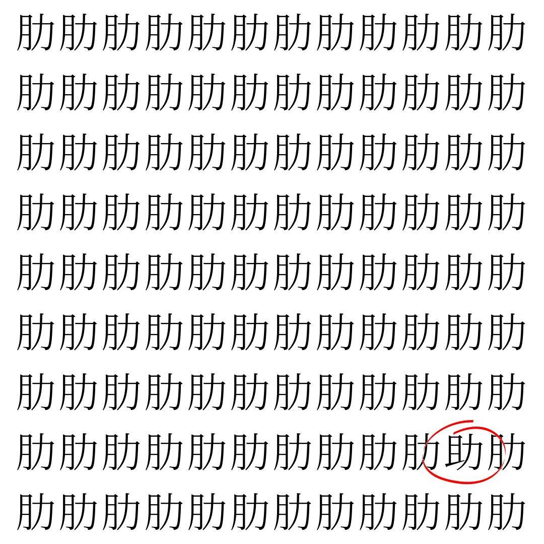 【漢字探し】ずらっと並んだ「肋」の中にまぎれた別の漢字一文字は？