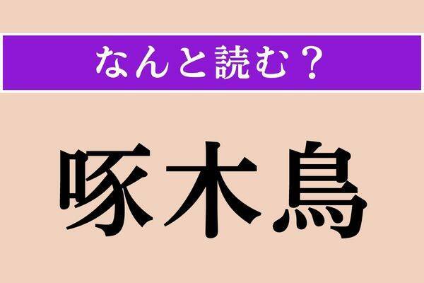 【難読漢字】「予て」正しい読み方は？ 会話の中でよく出てくる言葉です