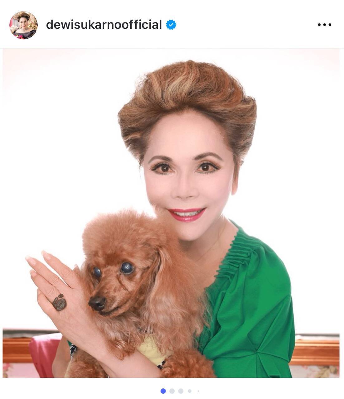 デヴィ夫人、愛犬モカちゃんが14歳で永眠「私にずーっと抱かれて息を引き取った」