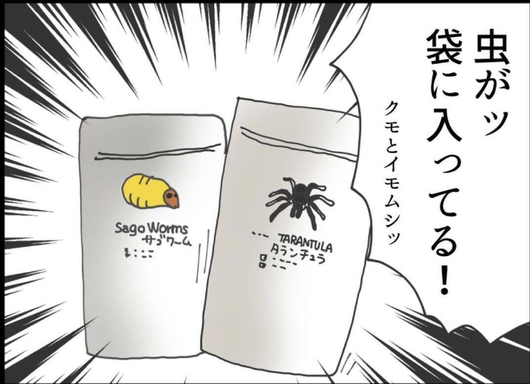 【漫画】信じられない！ 引っ越しの挨拶の品に昆虫食を寄こすなんて！【怖すぎる隣人 Vol.4】