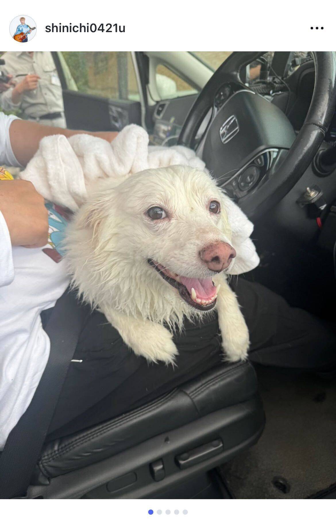 お見送り芸人しんいち、福岡ロケ中に迷い犬を保護し飼い主探しを呼びかけ