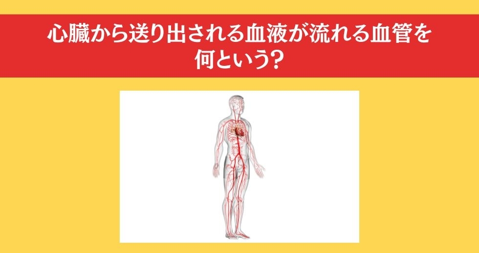 大人ならわかる？ 小学校の「理科」問題＜Vol.89＞