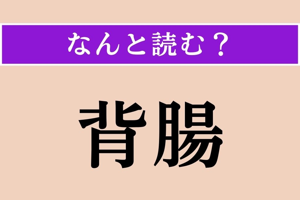 【難読漢字】「背腸」正しい読み方は？ 上手に取り除きましょう